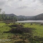 From Delhi: 3-Days Jaipur & Ranthambore Wildlife Safari Tour - Second Day: Wildlife Safaris in Ranthambore National Park