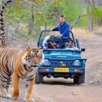 From Delhi: 4-Day Golden Triangle & Ranthambore Tiger Safari - The Adventure in Ranthambore