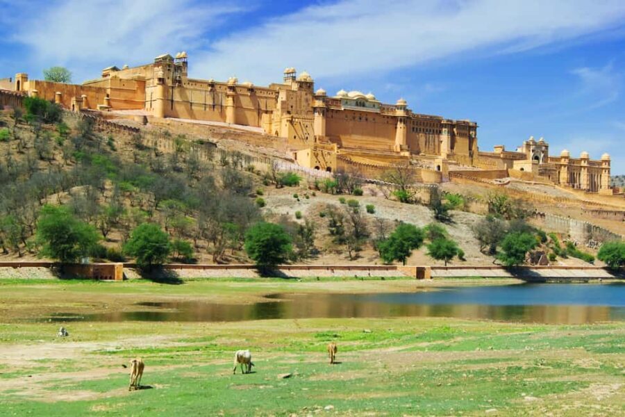 From Delhi: 8-Day Golden Triangle Jodhpur Udaipur Tour - A Closer Look at the Itinerary