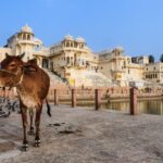 From Delhi: Full Day Jaipur City Guided Tour with Lunch - Practical Details: Transportation, Guides, and Value