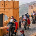 From Delhi: Jaipur Tour by Private Car or Express Train - Who Should Consider This Tour?