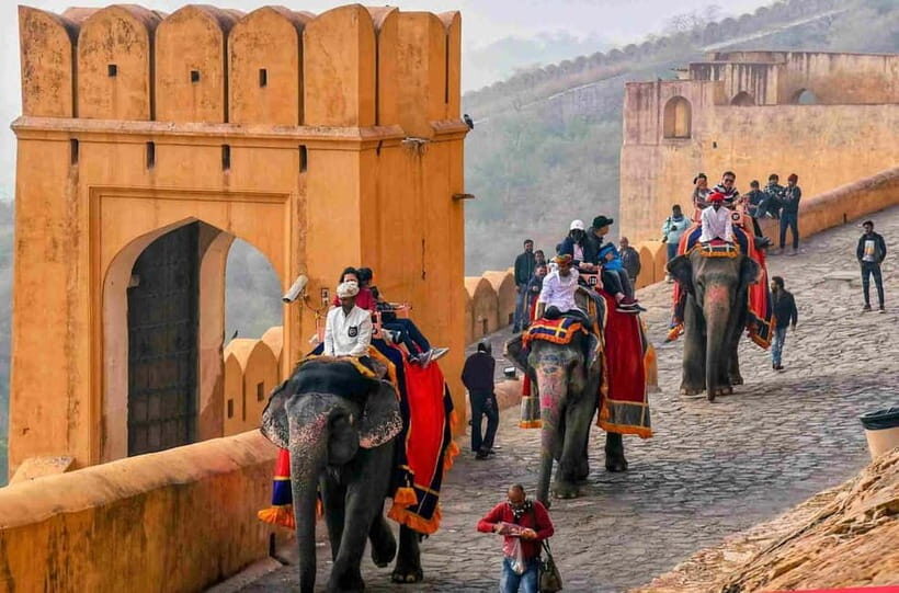 From Delhi: Jaipur Tour by Private Car or Express Train - Who Should Consider This Tour?