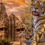 From Delhi: Khajuraho Kamasutra Temples & Panna Safari Tour - What Makes This Tour Stand Out