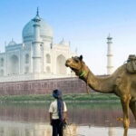 From Delhi: Overnight Taj Mahal & Agra City Tour by Car - In-Depth Look at the Itinerary