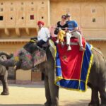 From Delhi: Same Day Private Jaipur Tour with Transfers. - The Itinerary in Detail
