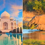 From Delhi: Sunrise Taj Mahal and Elephant Conservation Tour - What Makes This Tour Stand Out?