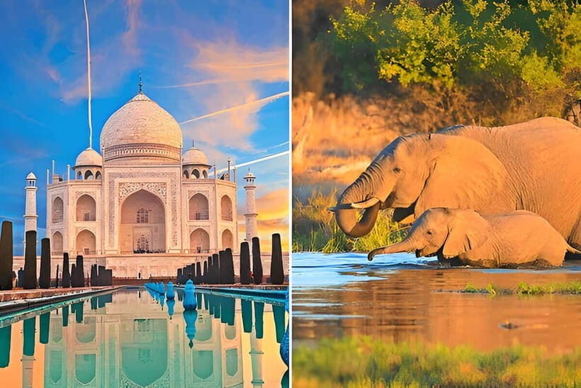 From Delhi: Sunrise Taj Mahal and Elephant Conservation Tour - What Makes This Tour Stand Out?
