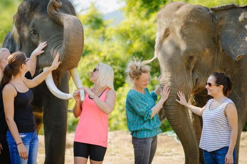 From Delhi: Sunrise Taj Mahal Tour With Elephant SOS - The Sum Up