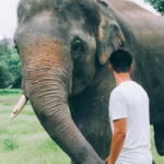 From Delhi: Sunrise Taj Mahal & visit Elephant Conservation - Visiting Agra Fort and Other Highlights