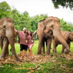 From Delhi: Taj Mahal, Agra Fort & Elephant Sanctuary Tour - Key Points