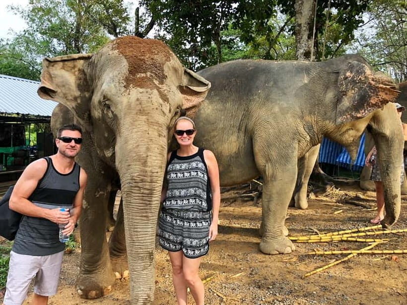 From Delhi: Taj Mahal, Agra Fort & Elephant Sanctuary Tour - Analyzing the Value