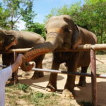 From Delhi: Taj Mahal Sunrise, Agra Fort & Elephants Tour - What makes this tour stand out?