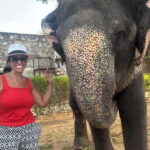 From Delhi: Taj Mahal Sunrise and Elephant Conservation Tour - Who Would Love This Tour?