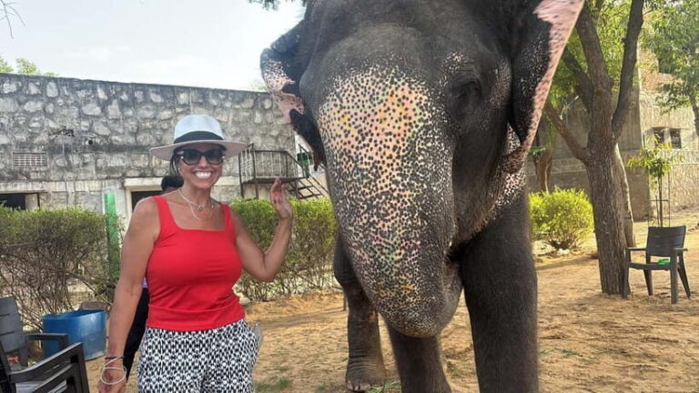 From Delhi: Taj Mahal Sunrise and Elephant Conservation Tour - Who Would Love This Tour?