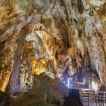 From Dong Hoi: Day Tour Exploring Paradise and Dark Caves - An In-Depth Look at the Tour Experience
