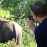 From Ella: 2-Day Yala Park Safari & Transfer to Beach - Authentic Encounters and Real Traveler Insights
