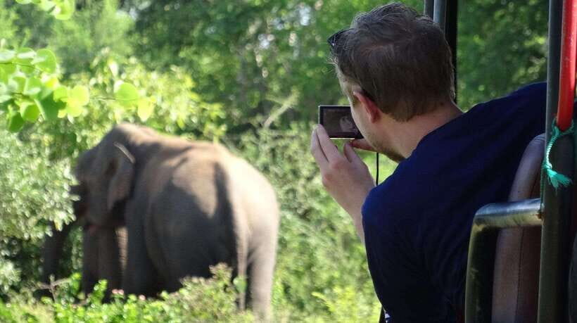 From Ella: 2-Day Yala Park Safari & Transfer to Beach - Authentic Encounters and Real Traveler Insights