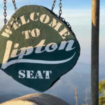 From Ella: Lipton Seat & Dambatenne Tea Factory Day Tour - The Realities of the Tour: Pros and Cons