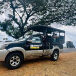 From Ella: Udawalawe National Park Safari with Elephant - What to Know Before You Go