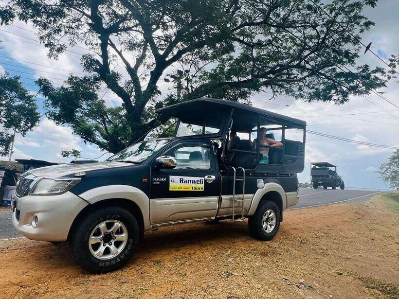 From Ella: Udawalawe National Park Safari with Elephant - What to Know Before You Go