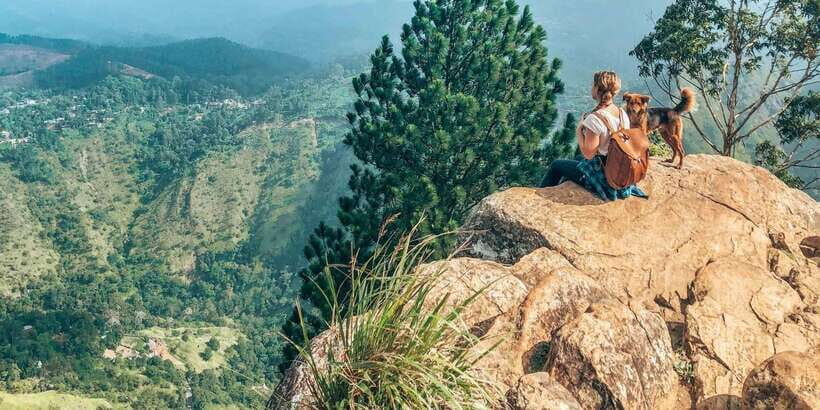 From Ella : Unforgettable Day trip to Experience Ella Peaks - Practical Tips for Making the Most of Your Day