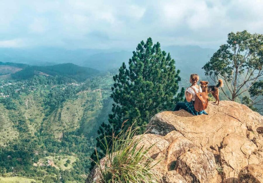 From Ella : Waterfalls, Nine Arch Bridge, Little Adam's Peak - An In-Depth Look at the Ella Waterfalls and Mountain Tour