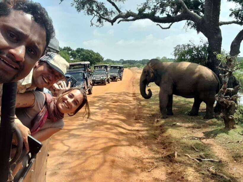 From Ella: Yala National Park safari & drop to Ella again - FAQ