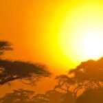 From Ella: Yala National Park Safari Tour in a 4x4 - Why This Tour Works