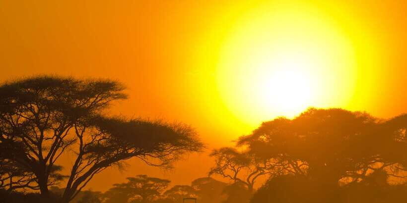 From Ella: Yala National Park Safari Tour in a 4x4 - Why This Tour Works