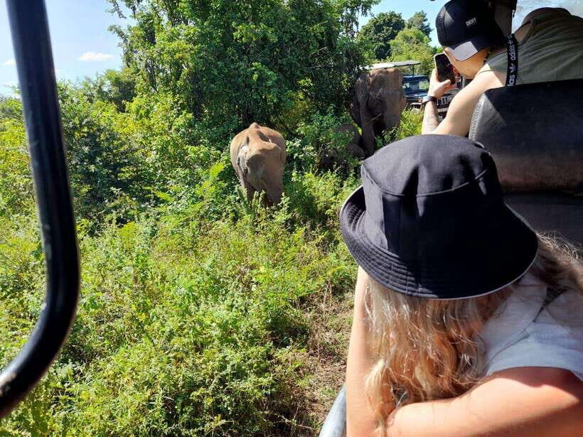 From Ella: Yala safari & Drop Tangalle / Mirissa / Galle - Why This Tour Offers Great Value