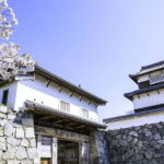 From Fukuoka: 3-Hour Tour of Castle Ruins & Ohori Park - A Detailed Look at the Fukuoka Highlights
