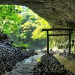 From Fukuoka: Miyazaki, Takachiho Gorge and Shrines Day tour - A Closer Look at the Kyushu Day Tour