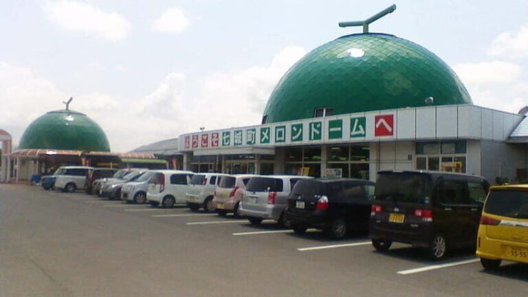From Fukuoka: Mythical "Takachiho" Day Trip by PRIVATE Bus - Why this tour is worth considering