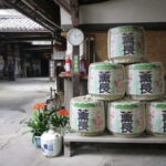 From Fukuoka: Yufuin, Hita, and Beppu Day Trip - Who Should Consider This Tour?