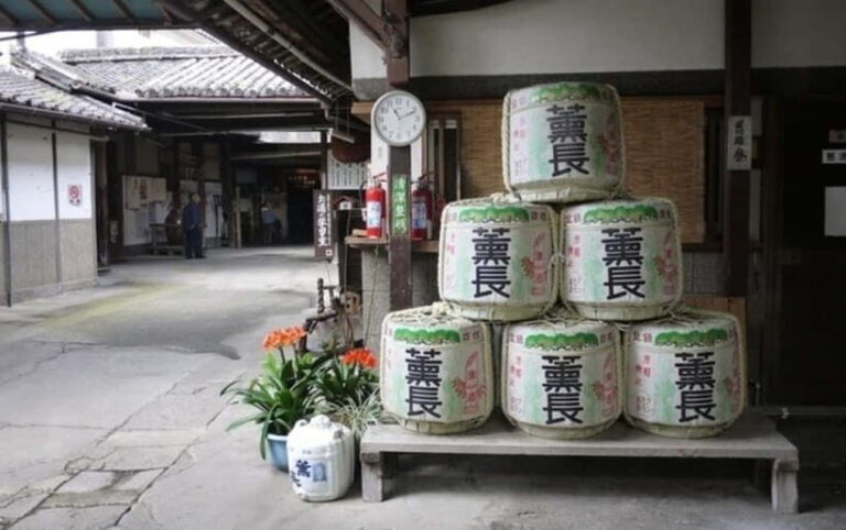 From Fukuoka: Yufuin, Hita, and Beppu Day Trip - Who Should Consider This Tour?