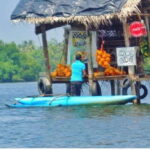 From Galle: Exclusive Madu River Safari & Turtle Hatchery - What travelers say about this tour