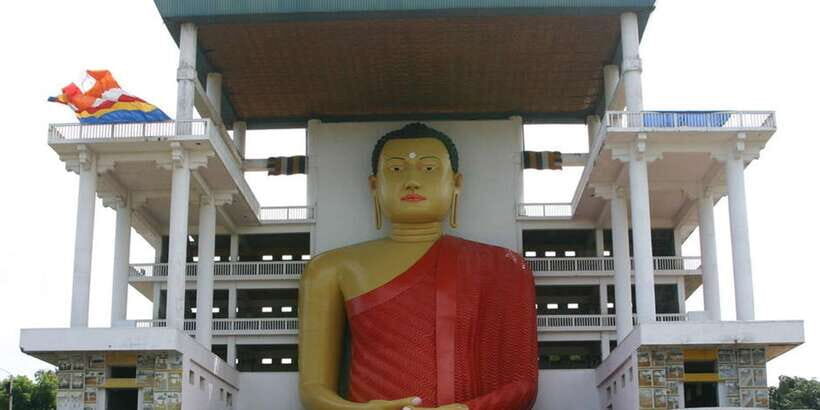 From Galle: Hidden Temples, Snakes & Coastlines Tour - Who Should Consider This Tour?