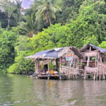 From Galle: Madu River Safari & Turtle Hatchery Visit - A Deep Dive into the Experience