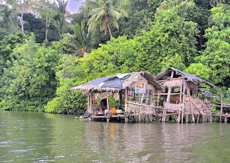 From Galle: Madu River Safari & Turtle Hatchery Visit - A Deep Dive into the Experience