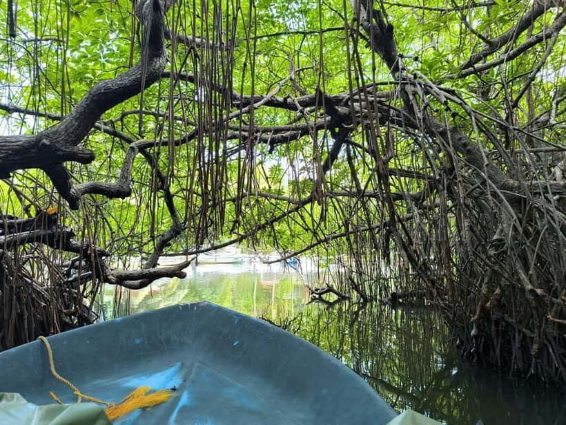 From Galle: Madu River Safari, Turtles & Galle Fort - Exploring the Tour in Detail