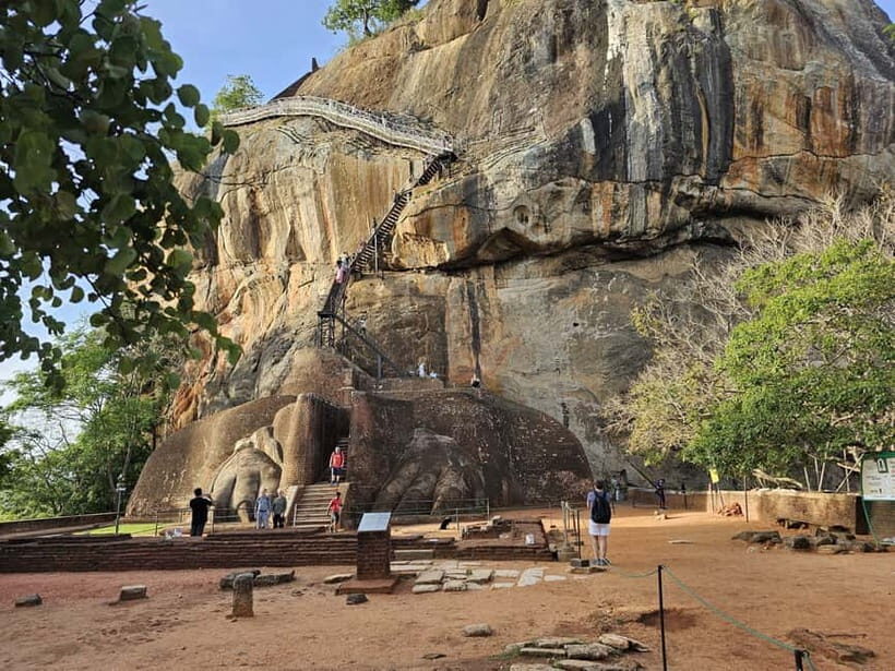 From Galle: Sigiriya Rock Fortress, Dambulla Cave & Safari - An In-Depth Look at the Tour Experience