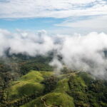 From Galle/Weligama/Mirissa/Matara: Day Trip to Sinharaja - Who Should Consider This Tour?