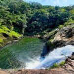 From Galle/Weligama/Mirissa/Matara: Day Trip to Sinharaja - An In-Depth Look at the Sinharaja Day Trip Experience