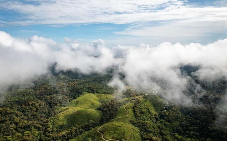 From Galle/Weligama/Mirissa/Matara: Day Trip to Sinharaja - Who Should Consider This Tour?