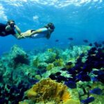 From Gili Trawangan: Island Hopping Snorkeling Trip - A Closer Look at the Experience