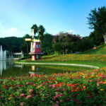 From Guanzghou Guided Baiyun Mountain Day Tour by Car - Detailed Review of the Guangzhou Guided Baiyun Mountain Day Tour