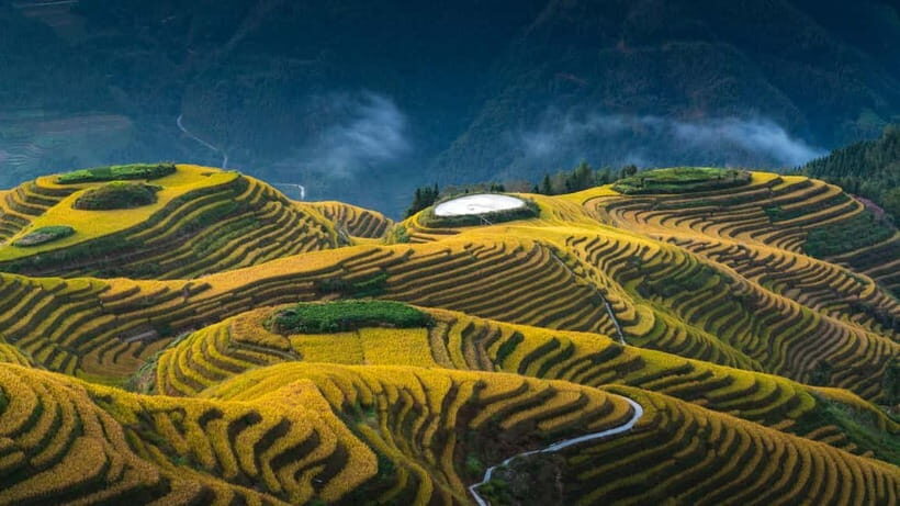 From Guilin: 1-Day Private Longji Rice Terraces Tour - Practicalities and Considerations
