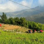 From Ha Noi: 3 Days and 2 Nights Sapa Trek with Local Guide - Who Is This Tour Best For?