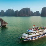 From Ha Noi: Ha Long Bay Day Trip with Luxury cruise - Final thoughts