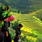 From Hanoi: 2-Day 2-Night Sapa Tour by Overnight Train - An In-Depth Look at the Sapa Experience